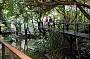 2 Day Great Barrier Reef & Daintree Eco Experience Tour